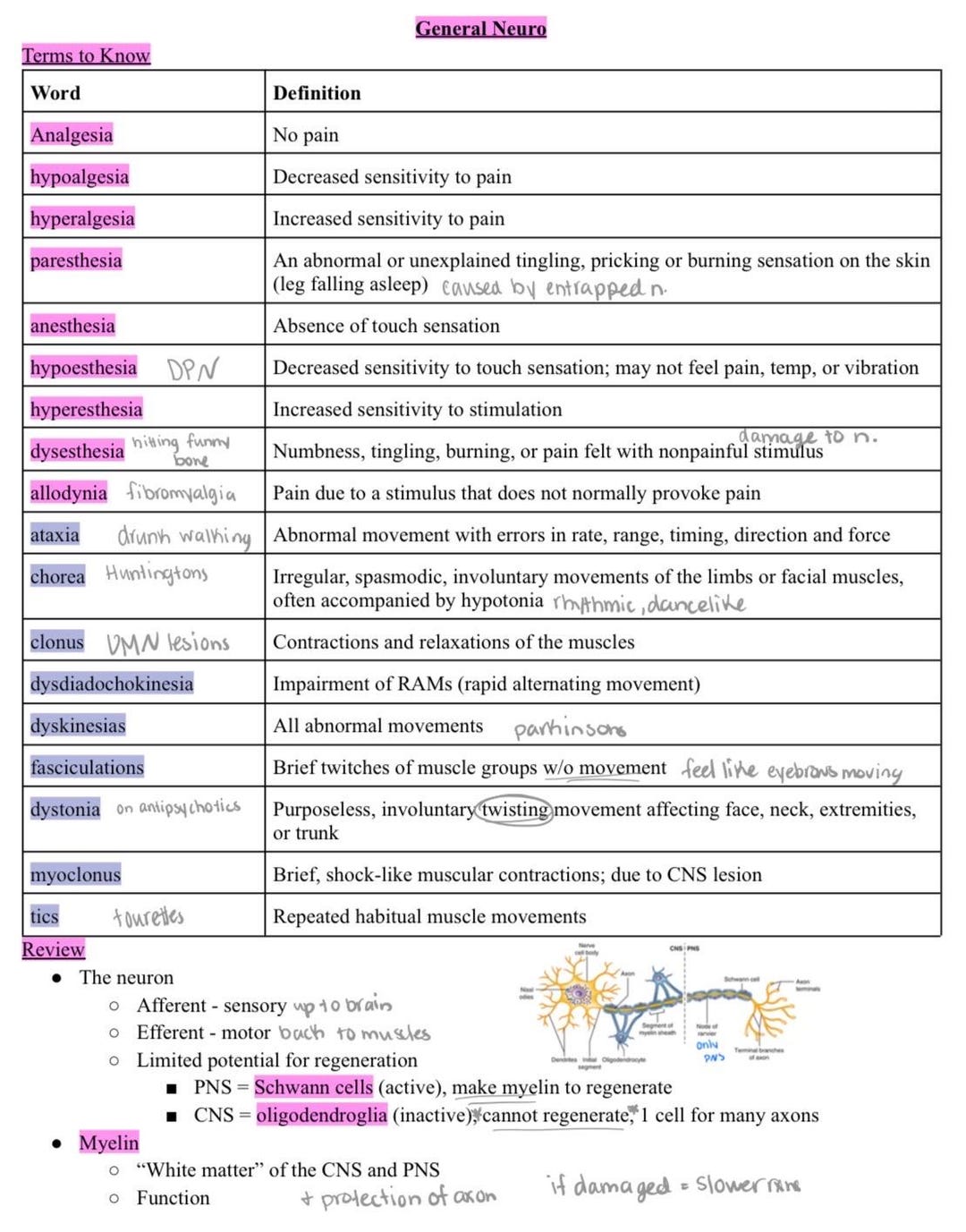 Neurology Notes - PA and Medical Students - Etsy