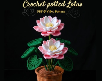 Patrón de flor de loto a crochet: patrón de loto en PDF y video, ideal para principiantes. Flor de loto en maceta a crochet para decoración y ramos.
