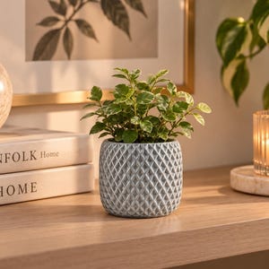 Minimal Textured Planter, Geometric Silver Stone Pot, Modern Multipurpose Holder