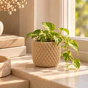 Minimal Textured Planter, Geometric  Sand Beige Stone Pot, Modern Multipurpose Holder