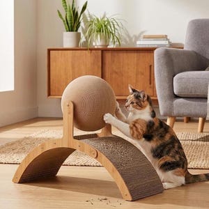 Könnte beinhalten: Ein Kratzbaum für Katzen mit einem Ball aus Wellpappe und einer gebogenen Kratzfläche. Eine Schildpattkatze mit braunem, weißem und schwarzem Fell spielt mit dem Ball. Der Kratzbaum ist aus Holz.