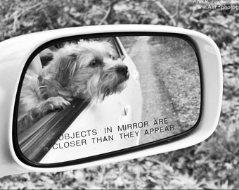Dog in Rearview Mirror Photo, Black & White Animal Photography, Dog Reflection, Framed or Unframed