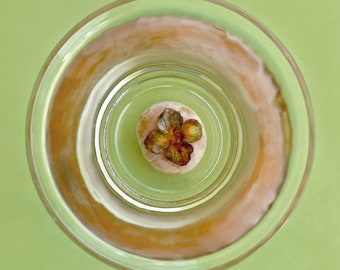 Underwater Persimmon Photo, Still Life Photography, Reflection, Kitchen Art, Food, Fruit, Orange, Green, Canvas, Framed, FREE SHIPPING