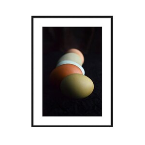 Colorful Eggs in Shadow Photo, Nature Photography, Easter Fine Art Print, Still Life, Easter Gift, Egg Photo, Framed, Canvas, FREE SHIPPING image 2