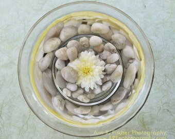 Underwater Flower and Rocks Photo, Still Life Photography, Reflection Photo, Yellow and Green Decor, Canvas, Frame, FREE SHIPPING