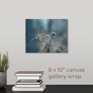 Turquoise Nature Photography, Wildflower Seed Pod in Forest Along Lake, Lakeside Weed, Fine Art, Nature Art, Framed, Canvas, FREE SHIPPING 8x10" CANVAS WRAP