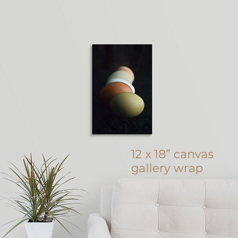 Colorful Eggs in Shadow Photo, Nature Photography, Easter Fine Art Print, Still Life, Easter Gift, Egg Photo, Framed, Canvas, FREE SHIPPING 12x18" CANVAS WRAP