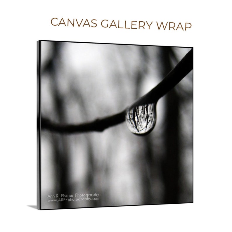 Forest Reflection in Raindrop Photo, Black & White, Miksang, Minimalist, Fine Art Photography, Nature, Water, Framed, Canvas, FREE SHIPPING image 3