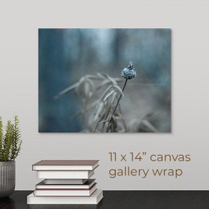 Turquoise Nature Photography, Wildflower Seed Pod in Forest Along Lake, Lakeside Weed, Fine Art, Nature Art, Framed, Canvas, FREE SHIPPING 11x14" CANVAS WRAP