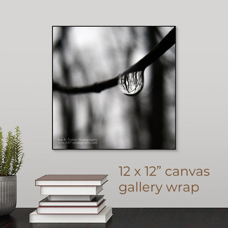 Forest Reflection in Raindrop Photo, Black & White, Miksang, Minimalist, Fine Art Photography, Nature, Water, Framed, Canvas, FREE SHIPPING 12x12" CANVAS WRAP