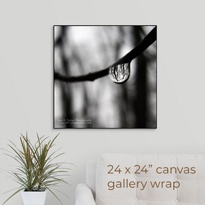 Forest Reflection in Raindrop Photo, Black & White, Miksang, Minimalist, Fine Art Photography, Nature, Water, Framed, Canvas, FREE SHIPPING image 9