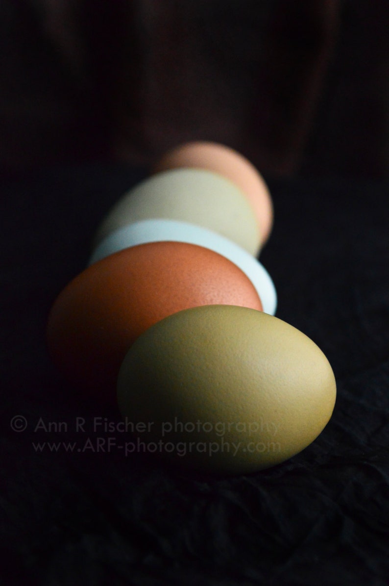 Colorful Eggs in Shadow Photo, Nature Photography, Easter Fine Art Print, Still Life, Easter Gift, Egg Photo, Framed, Canvas, FREE SHIPPING image 1