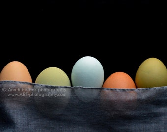 Multicolored Eggs in a Row, Colorful Eggs Photo, Framed, Canvas Gallery Wrap, Fine Art, Still Life Photography, Easter Gift, FREE SHIPPING