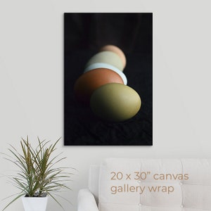 Colorful Eggs in Shadow Photo, Nature Photography, Easter Fine Art Print, Still Life, Easter Gift, Egg Photo, Framed, Canvas, FREE SHIPPING 20x30" CANVAS WRAP