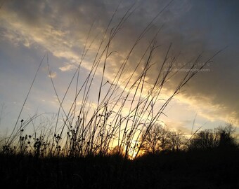 Sunset Photo, Cloudy Sunset and Grass, Prairie Photo, Sunset Clouds Through Weeds, Nature Photography, Canvas, Framed, FREE SHIPPING