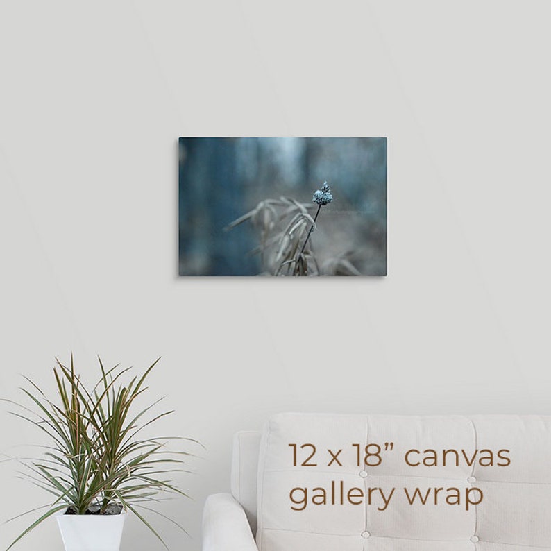 Turquoise Nature Photography, Wildflower Seed Pod in Forest Along Lake, Lakeside Weed, Fine Art, Nature Art, Framed, Canvas, FREE SHIPPING 12x18" CANVAS WRAP