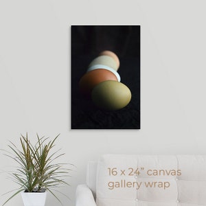 Colorful Eggs in Shadow Photo, Nature Photography, Easter Fine Art Print, Still Life, Easter Gift, Egg Photo, Framed, Canvas, FREE SHIPPING 16x24" CANVAS WRAP