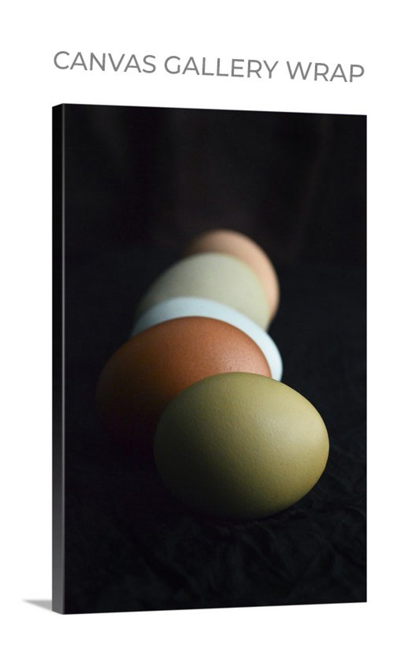 Colorful Eggs in Shadow Photo, Nature Photography, Easter Fine Art Print, Still Life, Easter Gift, Egg Photo, Framed, Canvas, FREE SHIPPING image 3