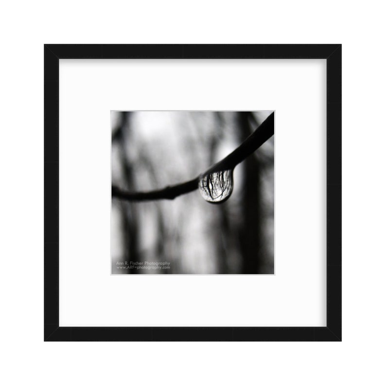 Forest Reflection in Raindrop Photo, Black & White, Miksang, Minimalist, Fine Art Photography, Nature, Water, Framed, Canvas, FREE SHIPPING 画像 2