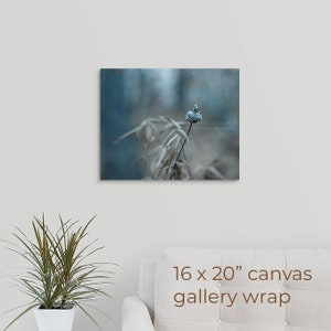 Turquoise Nature Photography, Wildflower Seed Pod in Forest Along Lake, Lakeside Weed, Fine Art, Nature Art, Framed, Canvas, FREE SHIPPING 16x20" CANVAS WRAP