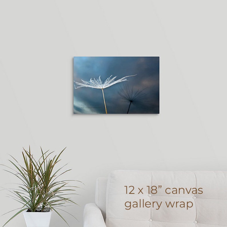 Dandelion Seed Photo, Reflection with Sunset Sky, Fine Art, Nature, Miksang Contemplative, Reflection, Blue, Canvas, Framed, FREE SHIPPING 12x18 CANVAS WRAP