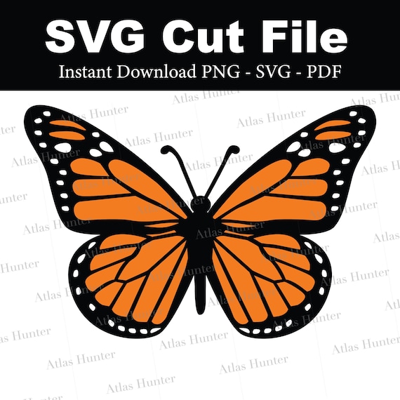 Monarch Butterfly Cricut Cut File SVG PNG PDF jpeg layered 1 2 or 3 color butterfly detailed spring time wings Layers Orange Butterfly svg