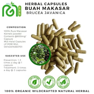 100-500 kapslar med rena makassarkärnor eller Java Brucea eller Kosam (Brucea Javanica) 100 % naturliga färska ekologiska vildodlade örter