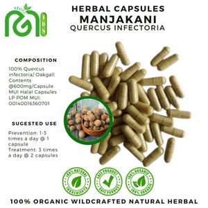 100-500 Kapsel PURE Eichengallenkapseln (Quercus Infectoria) 100% natürliche frische organische Wildkräuter