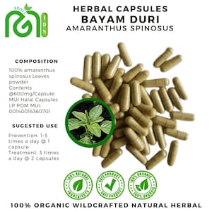 Può includere: Immagine di capsule a base di erbe etichettate come "BAYAM DURI AMARANTHUS SPINOSUS". Le capsule sono di colore marrone chiaro e sono sparse su uno sfondo bianco. L'immagine include anche testo sulla composizione e l'uso suggerito del prodotto.