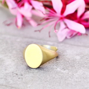 Oval Signet Ring, Crest Signet Ring, Pinky Ring, Engraved Ring ,Initial Signet Ring Name,Coat of Arms Ring,Promise Ring,Personalized Gift