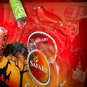 Safari Gebroken Fles - Broken Bottle Epoxy Resin Art - Custom A3 Framed Mancave Bar Decor afbeelding 6