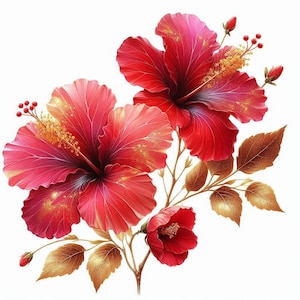 May include: A vibrant illustration of hibiscus flowers in full bloom. The flowers are a rich red with hints of pink and gold accents. Brown leaves and buds complete the floral arrangement against a white background.