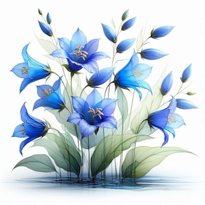 May include: A watercolor illustration of blue bellflowers with green leaves and stems. The flowers have a delicate, translucent quality, with golden stamens. The background is white, and the flowers appear to be reflected in water.