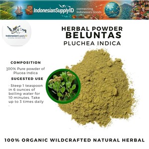 Puede incluir: Un montón de polvo de hierbas de color marrón claro, etiquetado como "Herbal Powder Beluntas Pluchea Indica". La imagen incluye un recuadro circular verde con una planta y texto sobre la composición y el uso sugerido del polvo.