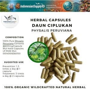 Könnte beinhalten: Abbildung von Kräuterkapseln mit der Aufschrift "Daun Ciplukan Physalis Peruviana." Das Bild zeigt einen Haufen hellbrauner Kapseln mit einem kreisförmigen Einsatz aus grünem Pflanzenmaterial. Der Text enthält "100% Organic Wildcrafted Natural Herbal."