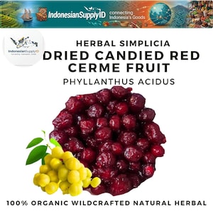 Puede incluir: Imagen de fruta cerme roja confitada seca, también conocida como Phyllanthus acidus. La imagen muestra un montón de fruta confitada redonda de color rojo oscuro con un racimo de fruta y hojas de color amarillo-verdoso. El texto dice "Herbal Simplicia Dried Candied Red Cerme Fruit".