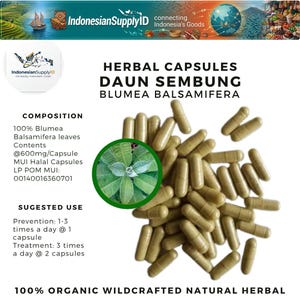 Peut inclure: Capsules à base de plantes, étiquetées "Daun Sembung Blumea Balsamifera", avec une illustration de feuilles vertes. Les capsules sont brun clair et dispersées sur fond blanc. Le texte comprend la composition et l'utilisation suggérée.
