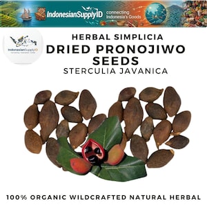 Op de afbeelding: Afbeelding van gedroogde Pronojiwo-zaden, ook bekend als Sterculia Javanica, met groene bladeren en een doorgesneden zaadpeul. De tekst luidt "Herbal Simplicia Dried Pronojiwo Seeds Sterculia Javanica" en "100% Organic Wildcrafted Natural Herbal."