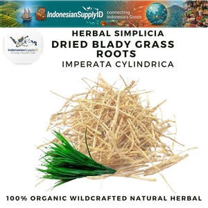 以下が含まれることがあります： 乾燥したブラディーグラスの根、Imperata Cylindricaのクローズアップ。緑の草の束があります。画像には「HERBAL SIMPLICIA DRIED BLADY GRASS ROOTS IMPERATA CYLINDRICA」と「100% ORGANIC WILDCRAFTED NATURAL HERBAL」というテキストが含まれています。