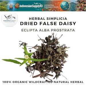 May include: An image of dried false daisy, a natural herbal product. The image shows a pile of dried leaves and stems, with a few fresh green leaves and a small white flower. The text on the image reads "Herbal Simplicia Dried False Daisy Eclipta Alba Prostrata 100% Organic Wildcrafted Natural Herbal."