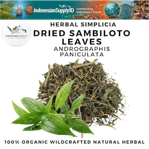 Op de afbeelding: Afbeelding van gedroogde Sambiloto-bladeren, ook bekend als Andrographis paniculata, een natuurlijk kruidenproduct. De afbeelding toont een stapel gedroogde bladeren met verse groene bladeren op de voorgrond. De tekst op de afbeelding luidt "100% Organic Wildcrafted Natural Herbal."