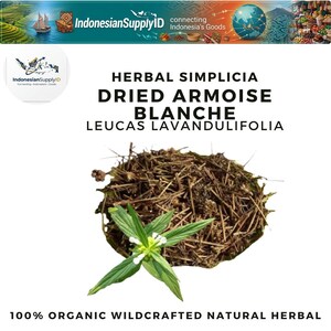 May include: A close-up of dried herbal simplicia, dried armoise blanche, and leucas lavandulifolia. The image shows a pile of dried brown herbs with a sprig of green leaves and white flowers. The text reads "100% Organic Wildcrafted Natural Herbal."