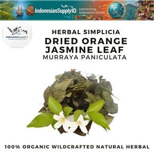 Op de afbeelding: Close-up van gedroogd sinaasappeljasmijnblad, een natuurlijk kruidenproduct, met witte bloemen en groene bladeren. De afbeelding bevat de tekst "HERBAL SIMPLICIA DRIED ORANGE JASMINE LEAF MURRAYA PANICULATA" en "100% ORGANIC WILDCRAFTED NATURAL HERBAL".