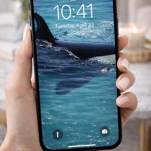 Peut inclure: Un smartphone noir affiche un écran de verrouillage avec une baleine dans l'eau bleue. L'heure est 10h41 et la date est le mardi 23 avril. Le téléphone est tenu dans une main avec un bracelet doré.