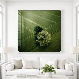 Minimalist Tree Aerial Print on Acrylic Glass – Luxury Green Landscape Wall Art – Modern Nature Photography – Large Statement Wall Decor