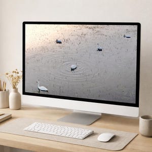 Peut inclure: Un ordinateur moderne avec un écran affichant des cygnes sur un lac. Le bureau comprend un clavier, une souris, un bloc-notes et des éléments décoratifs, créant un espace de travail minimaliste.