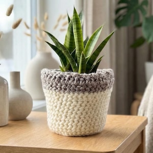 May include: A small, knitted plant pot in cream and gray holds a green snake plant. The pot is on a light wood table near a window. The pot has a cream-colored base and a gray rim.