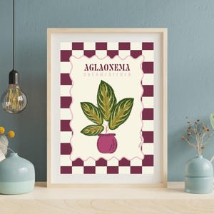 House Plant Wall Print - Aglaonema Dreamcatcher