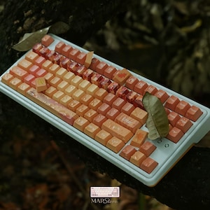 Peut inclure: Un clavier mécanique avec un cadre blanc et des touches dégradées orange, pêche et marron. Plusieurs touches présentent des motifs de feuilles d'automne. Les touches sont couvertes de gouttelettes d'eau et une feuille verte est posée à droite.