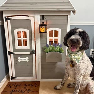 May include: A gray and white dog sits next to a gray and white dog house. The dog house has a small door with a welcome sign, a window, and a flower box. A brown mat reads "wipe your paws". A black lantern hangs from the roof.